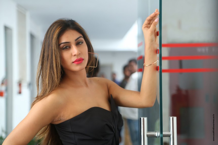 Myra Sareen at Officer movie Press Meet