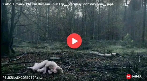 CLIC PARA VER VIDEO Calor Humano - Chaleur Humaine - CORTO - Belgica - 2012 CLIC PARA VER VIDEO Calor Humano - Chaleur Humaine - CORTO - Belgica - 2012