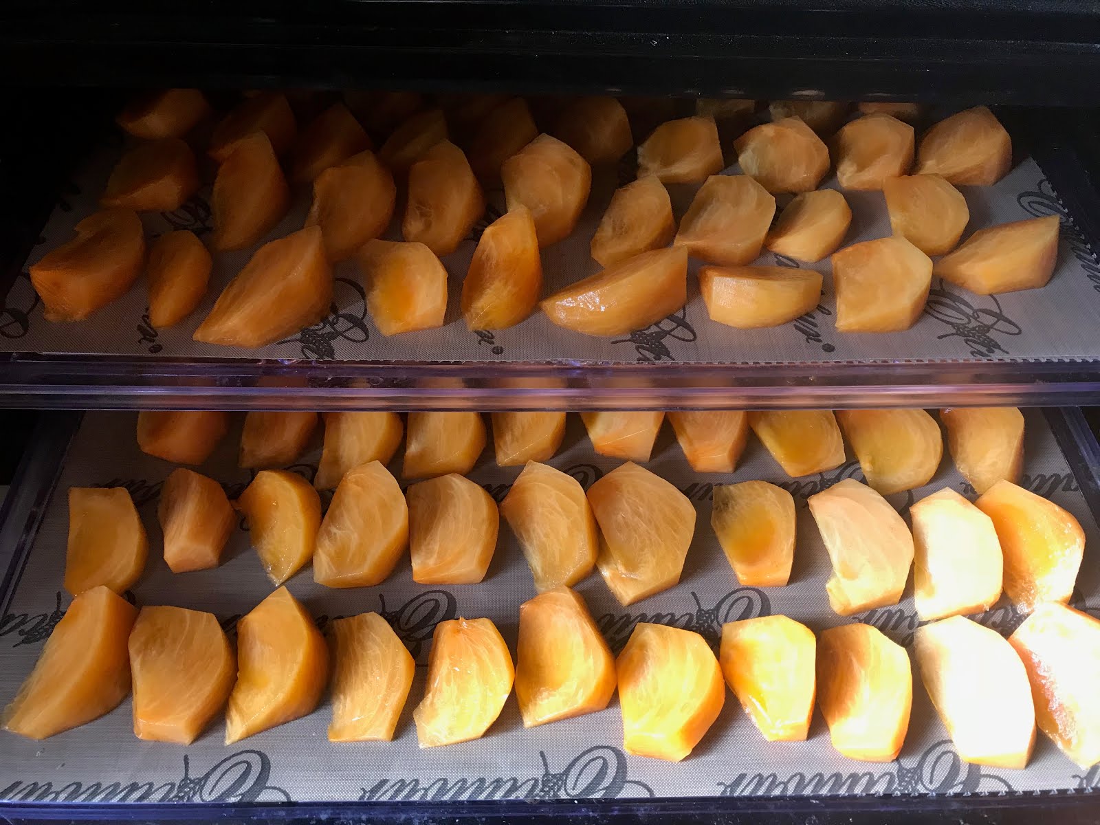 Foods For Long Life Dehydrate Your Persimmons For Winter Storage