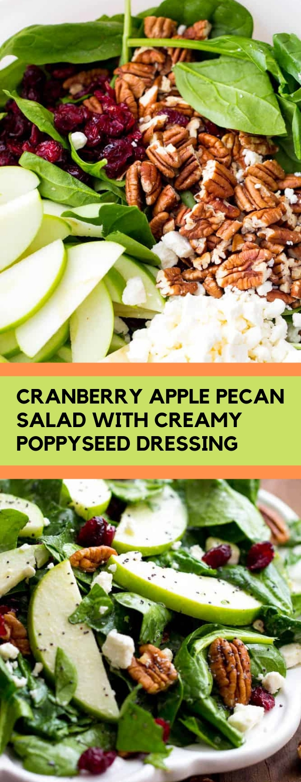 CRANBERRY APPLE PECAN SALAD WITH CREAMY POPPYSEED DRESSING The Most