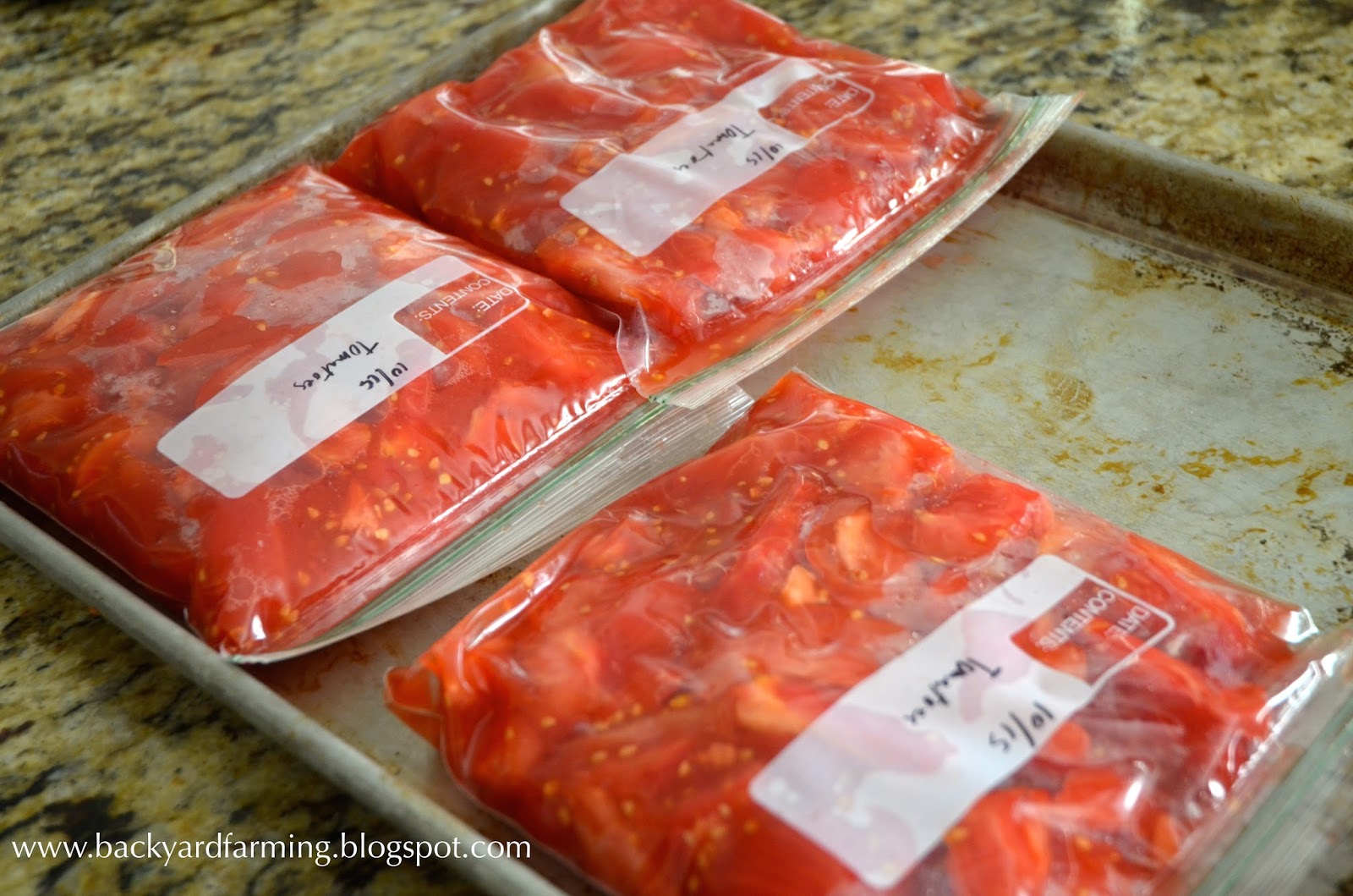 Backyard Farming Poorman's vacuum sealer, and freezing tomatoes