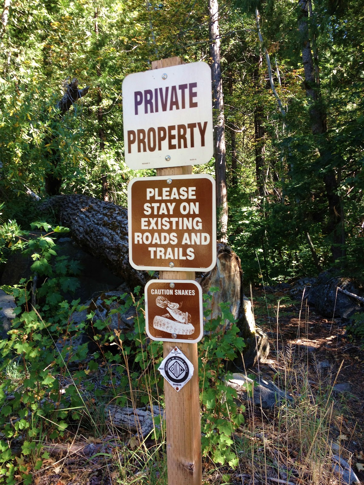 Peachy Hiker: Pioneer Trail ~ Spaulding Lake / Grouse Ridge Trails 10 ...