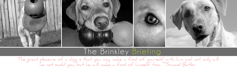 The Brinkley Briefing