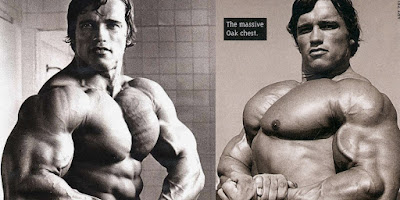 Arnold's Tips Best Chest Workout
