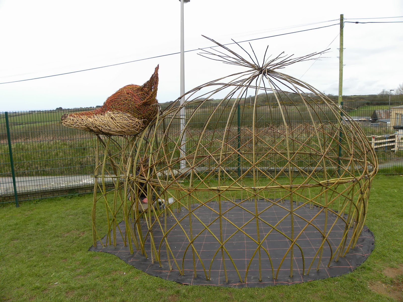 Living Willow Sculpture/Installation Commissions