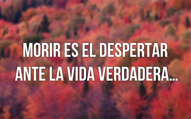 frases filosoficas de la vida frases filosoficas de la vida