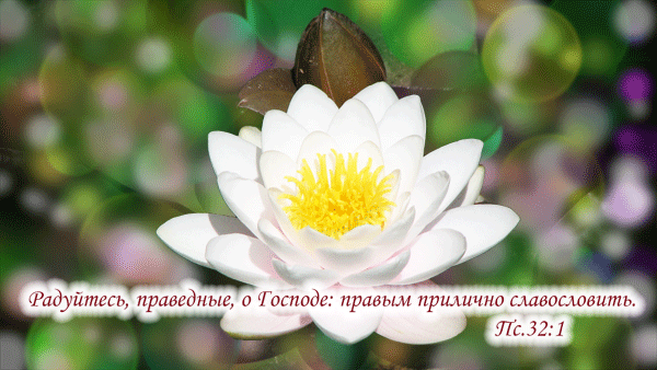 Радуйтесь праведные. Радуйтесь праведные. Радуйтесь праведные. Радуйтесь праведные славословьте господа. Радуйся всегда в господе.
