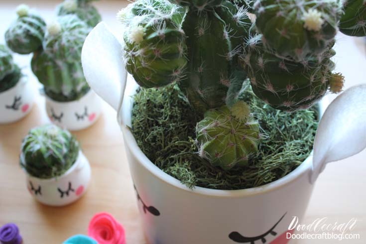 Pookie Doodle Crafts Miniature Cactus Garden