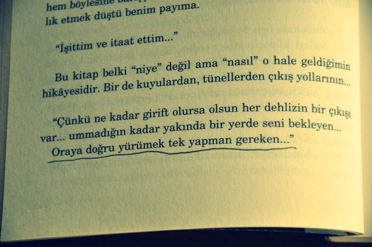 elif safak siyah sut