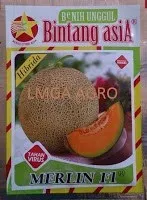 benih melon merlin,melon merlin,jual,murah,jual benih,promo,lmga agro