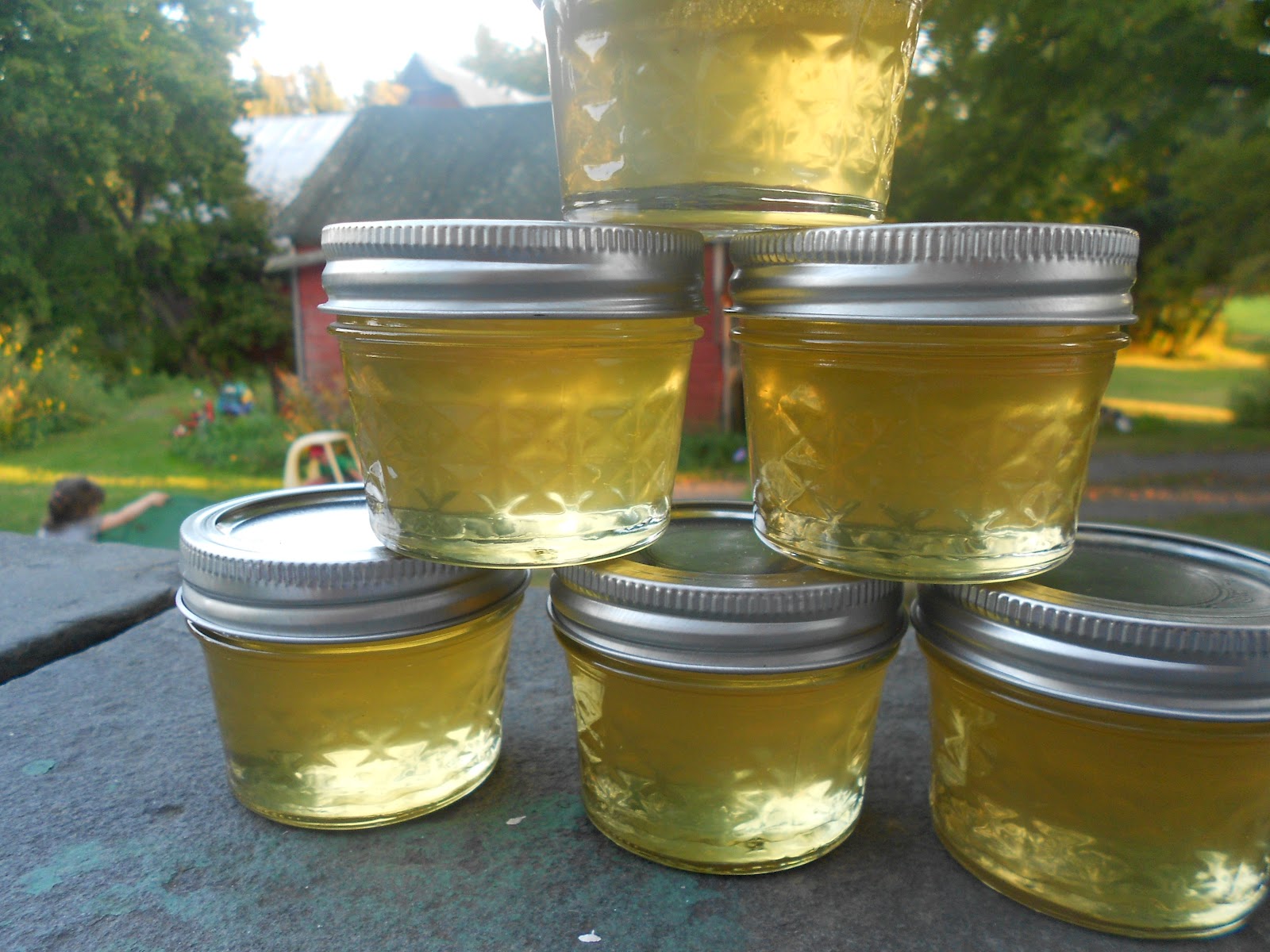 Silly Goose Farm Corn Cob Jelly