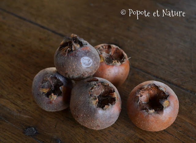 Confiture de nèfles-pommes © Popote et Nature