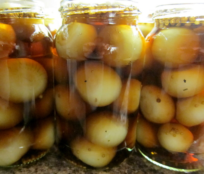 A little bit of heaven on a plate... Crunchy, spicy pickled onions recipe