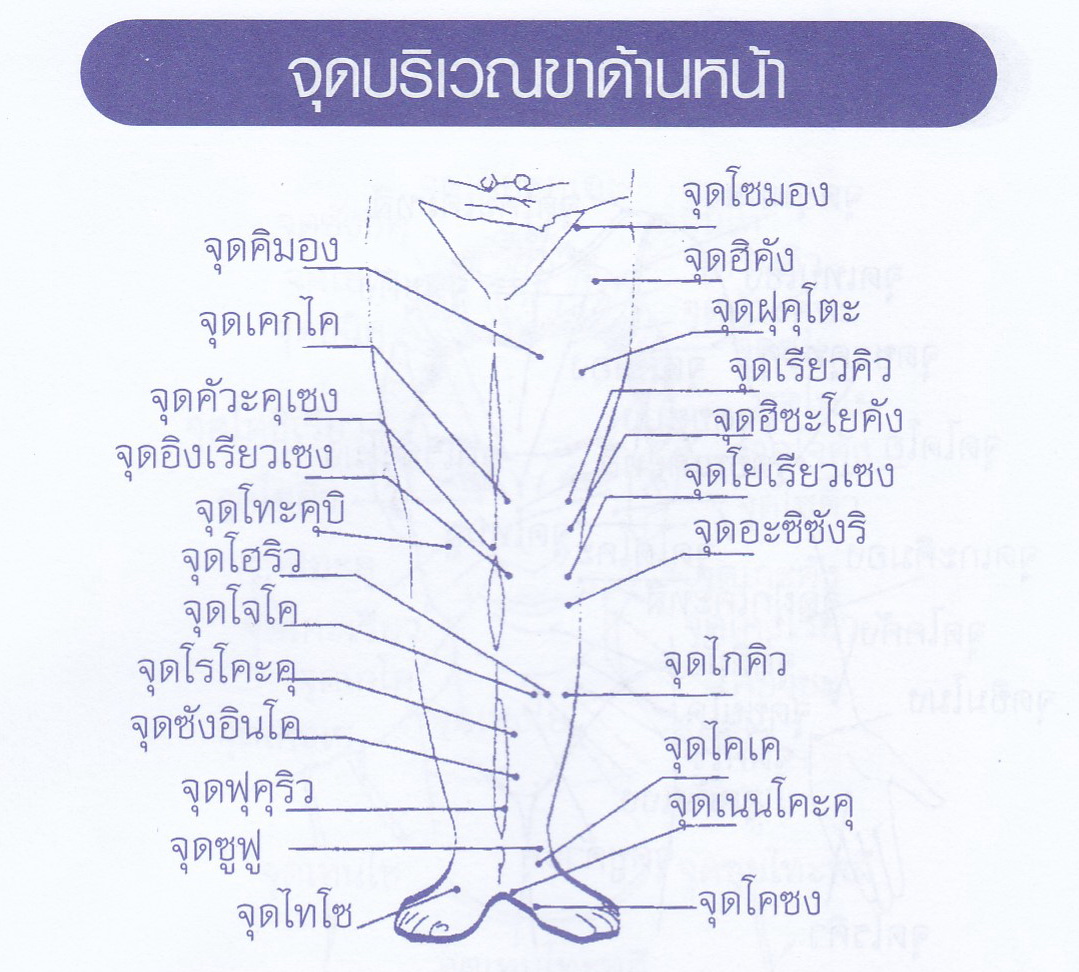 My Image 11