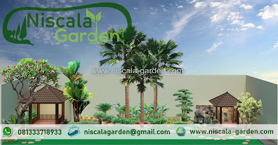 Desain Taman Minimalis dan Taman Tropis