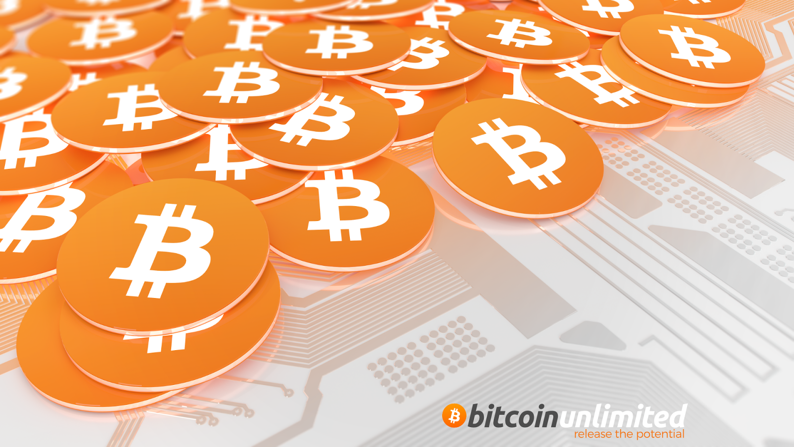 How to buy bitcoin: A beginner's guide to purchasing the ...