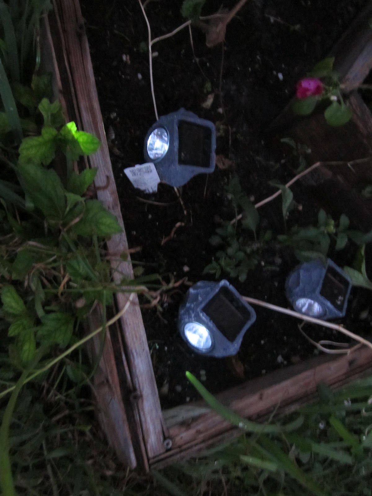 life-in-rehab-bucket-dollar-tree-list