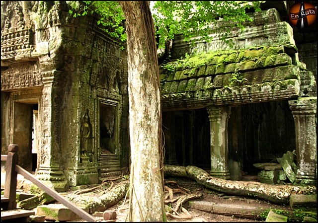Ta-Prohm-Templos-de-Angkor_7