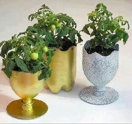 Membuat Pot Unik dari Botol Bekas 
