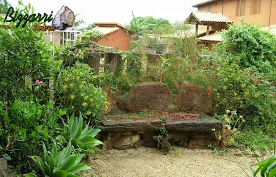 4 pedras moledo, tipo chapas, com tamanhos de 30 cm a 1 m com 10 a 20 cm de espessura. Arrumar 15 pedras moledo do tamanho de um mamão até melancia e fazer uma mureta de pedra irregular com 30 cm de espessura e assentar a pedra moledo em cima para fazer o assento do banco de pedra. Colocar alguma pedra por trás e assentar o encosto do banco e calçar com pedra por trás do banco deixando uns buracos entre a pedra moledo para a colocação de plantas. Execução do piso com pedrisco do rio em frente ao banco de pedra ou deixar direto na grama. A massa, para execução da mureta de pedra, fazer com cimento, areia e terra, e também para chumbar as pedras no banco. Em volta a execução do paisagismo com os canteiros de agave, as mudas de russélia vermelha, gardênias com os pés de manacás. Entre as pedras as mudas de rabo de gato e por trás do banco os troncos de eucalipto tratado de demolição. Está pronto um banco de pedra no jardim.