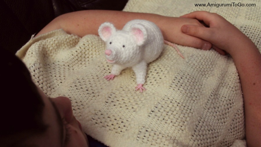 Our Pet Rat Made of Yarn