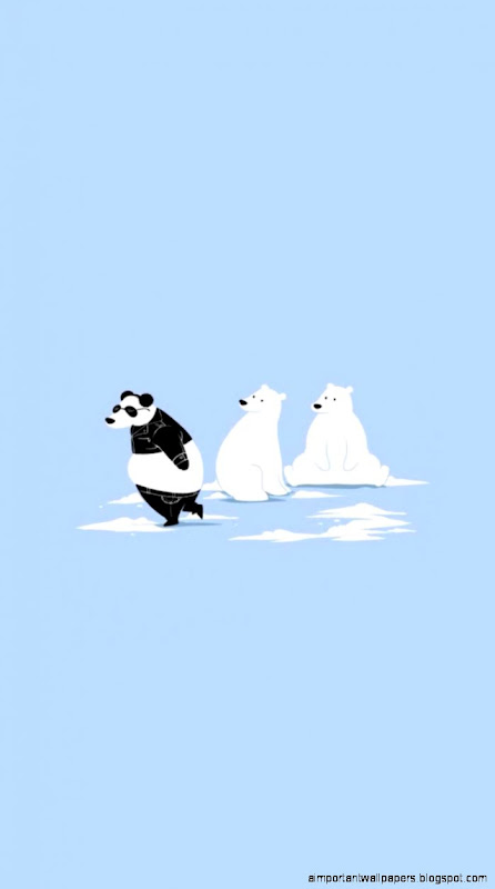 Migrate Polar Bear   Cute  funny iPhone wallpapers mobile9
