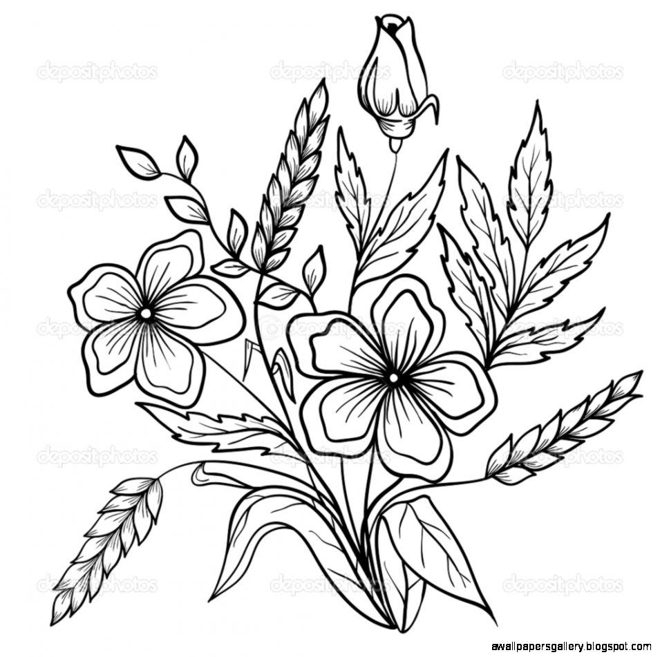 Arrangement of flowers black and white Outline drawing of lines