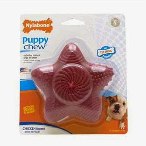 Nylabone Chicken flavored puppy chew toy