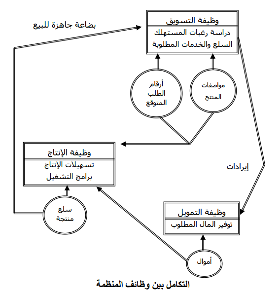 التكامل بين وظائف المنظمة التكامل بين وظائف المنظمة