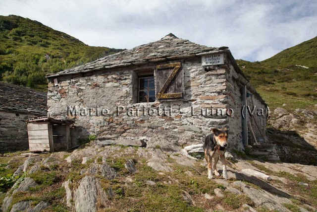 Alpe cortenuovo sentiero per alpe scaredi