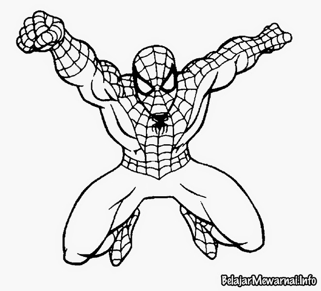 Gambar Mewarnai  Spiderman  Gambar Mewarnai  Lucu