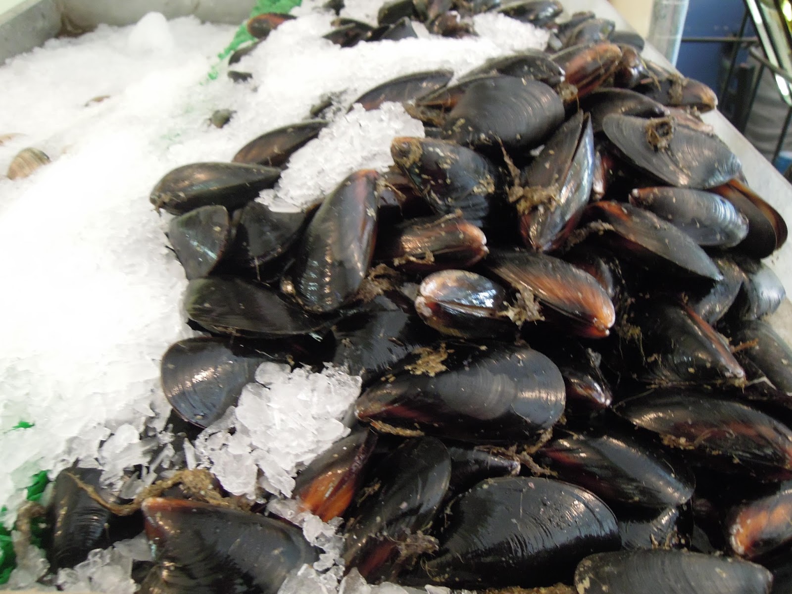 Saltwater People Log MUSSELS
