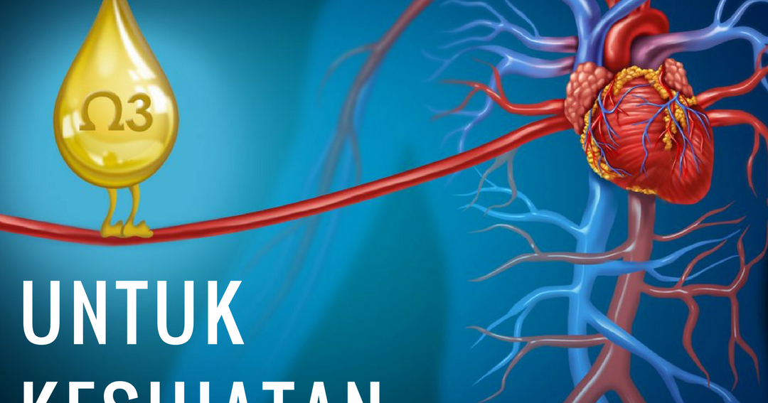 Fungsi dan Manfaat Asid Lemak Omega3 Untuk Penyakit Jantung Umi Nazrah