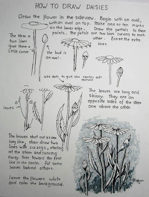 A worksheet for the lesson on how to draw daisies.