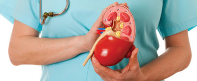 Herbal Medicines For Kidney Failure