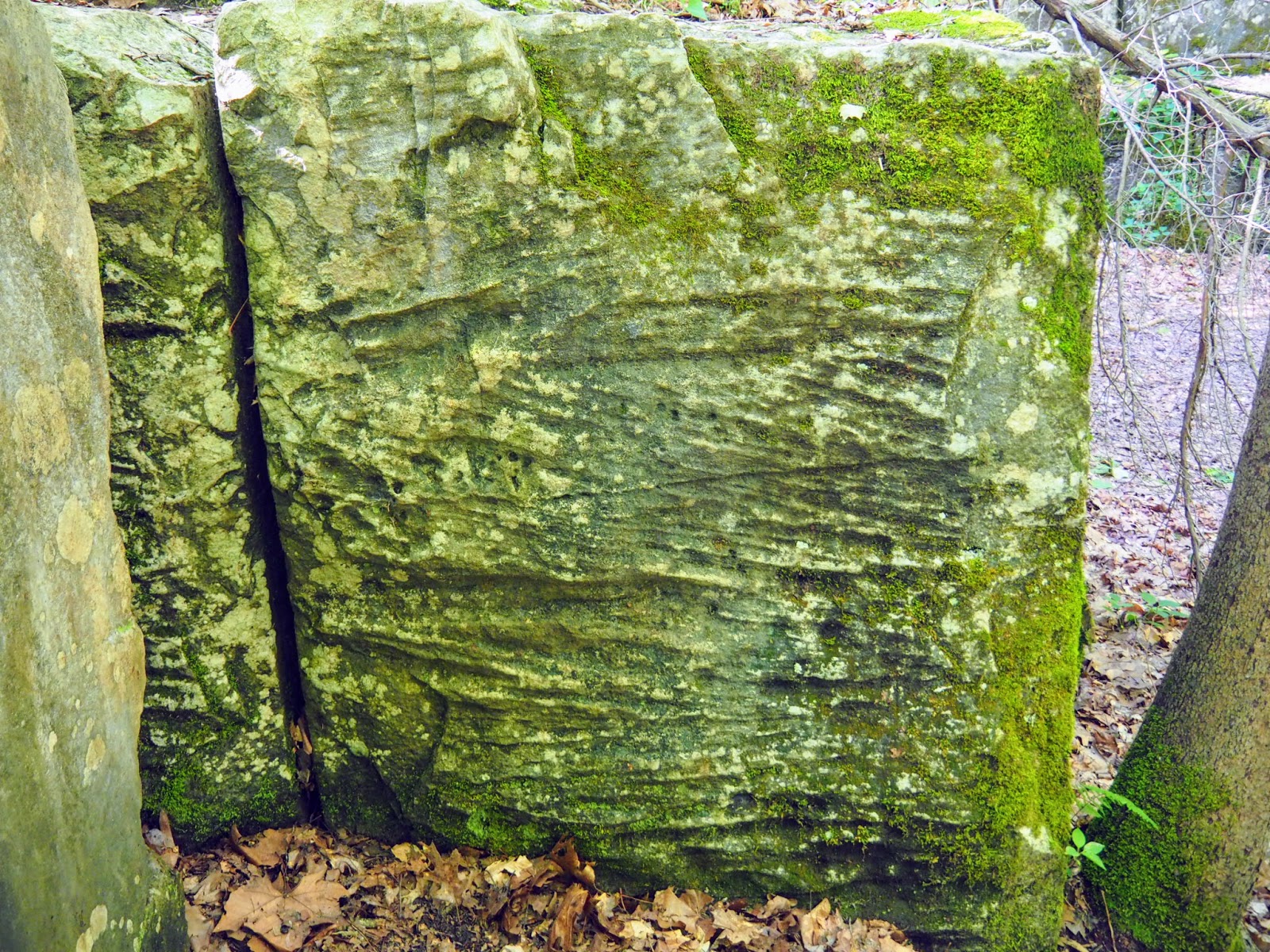 Spencer, IN McCormick's Creek State Park, Old State House Quarry