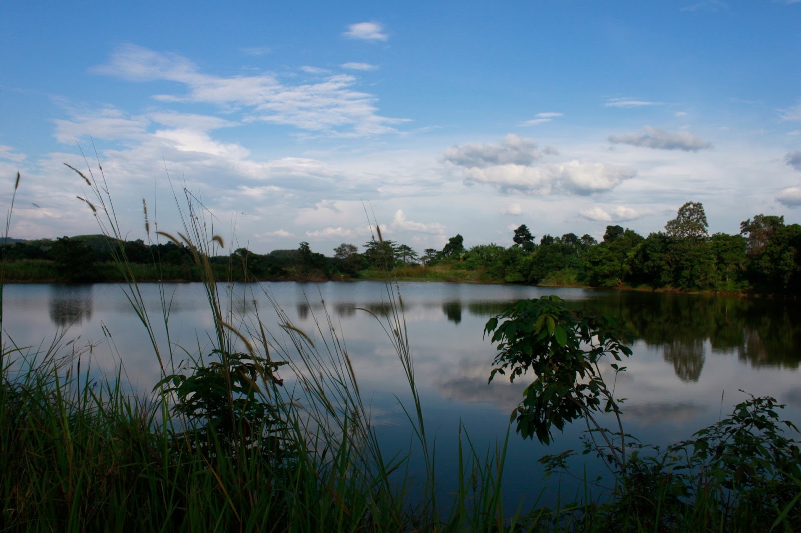 [T19C11] Ternakan ikan di Sungai Lui Negeri Sembilan