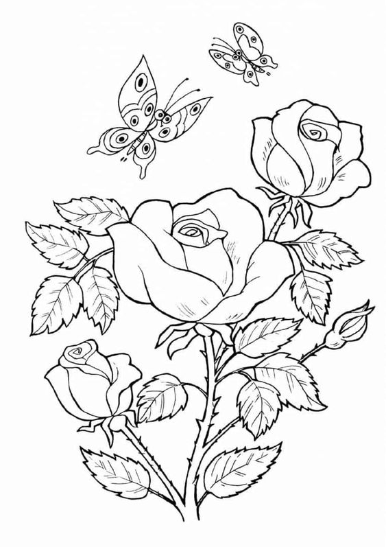 Tranh tô màu con bướm và hoa hồng