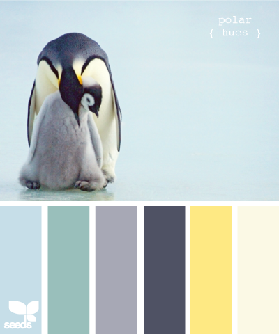 http://3.bp.blogspot.com/-ZN_cOu9MGik/T3cMtJXxZnI/AAAAAAAABdw/JTl01sNydtI/s640/Design+Seeds+-+Polar+Hues.png