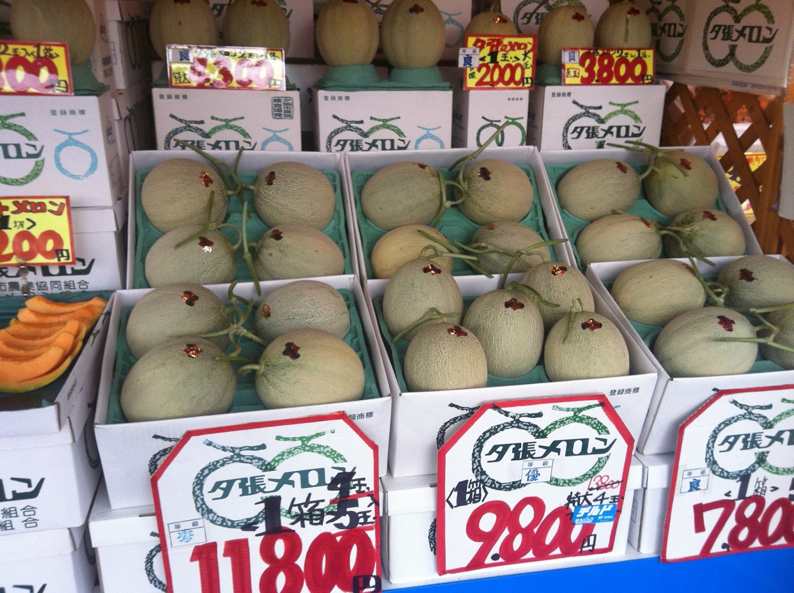 Yume's budget travel to Japan Nijo Fish Market & Curb market