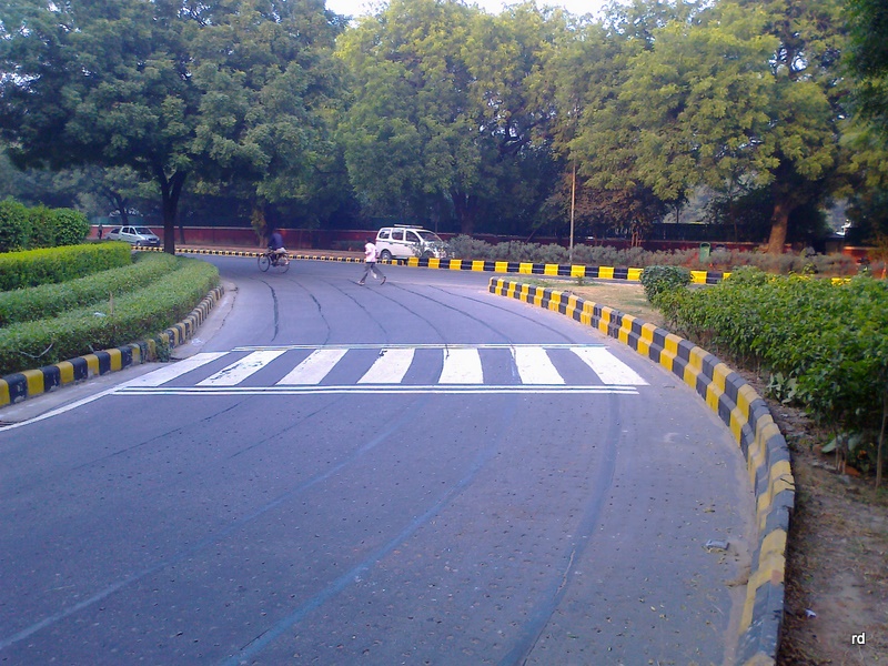 Figuring Things Out Zebra Crossing