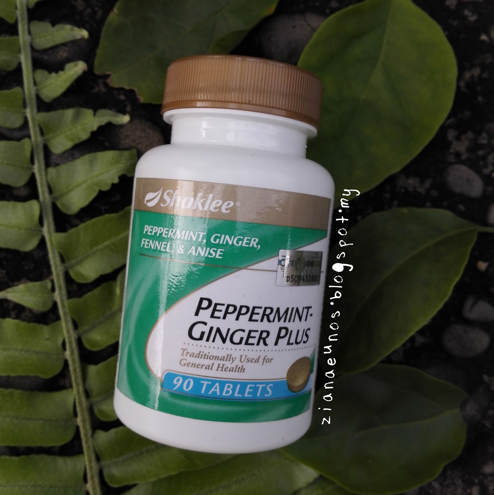 Kebaikan Peppermint Ginger Plus Shaklee Testimoni Peppermint Ginger