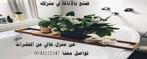 القضاء على الحشرات فى المنزل القضاء على الحشرات فى المنزل , شركات جدة لمكافحة الحشرات