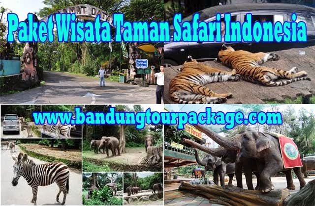 Paket Wisata Taman Safari Indonesia di Bogor Yoshi Tour