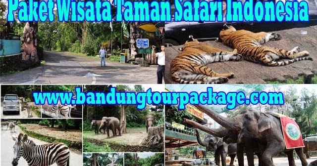 Paket Wisata Taman Safari Indonesia di Bogor Yoshi Tour