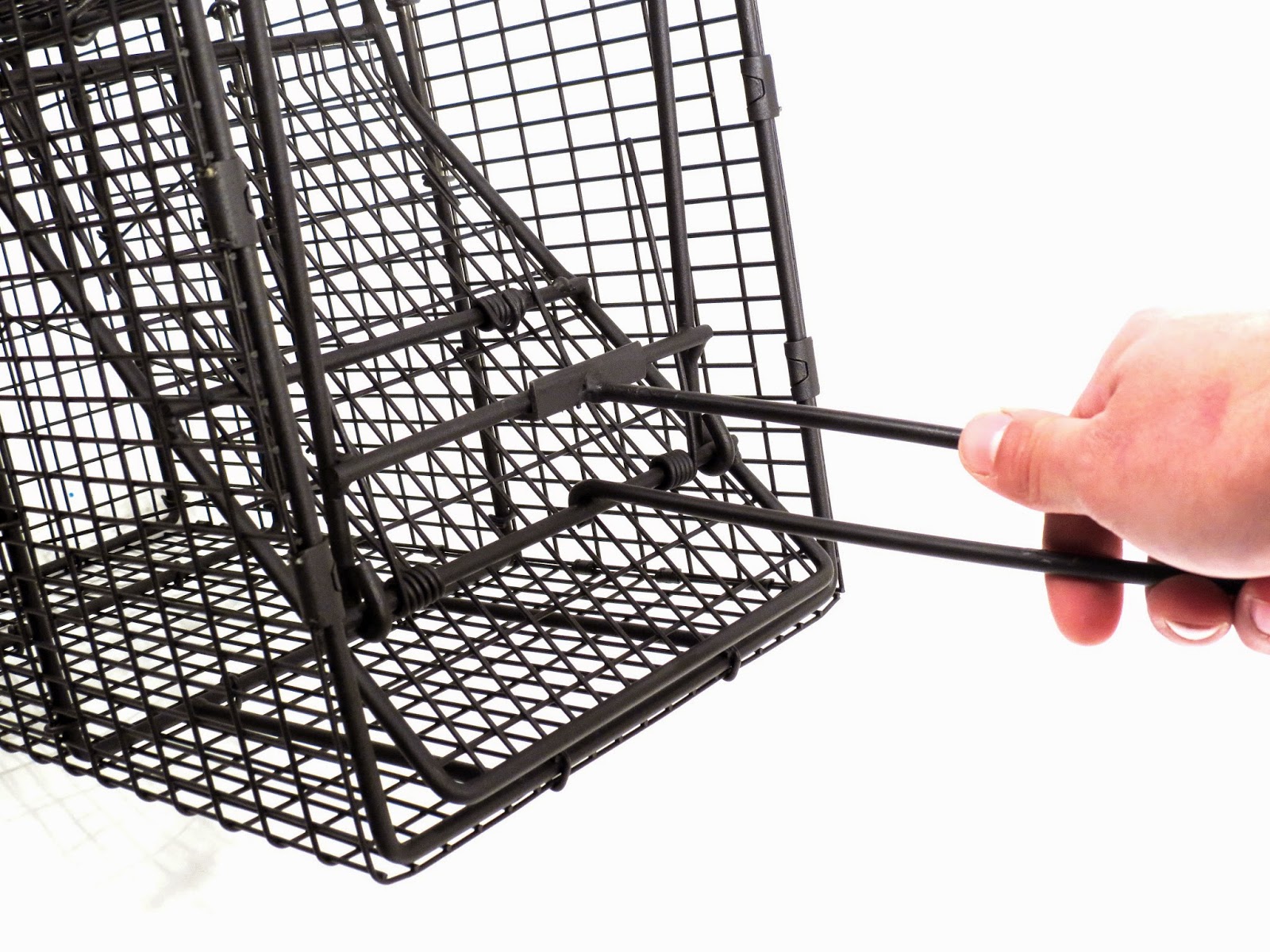 Comstock Cage Traps, In Action on the Line October 2014