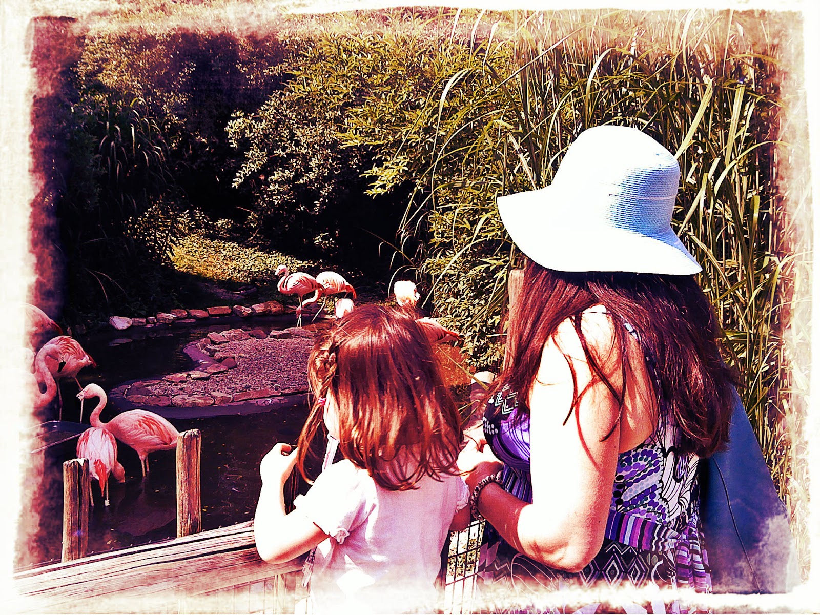 Mother And Daughter At The Zoo