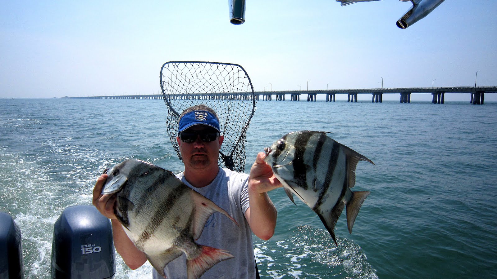 Chesapeake Bay Fish Fish Choices