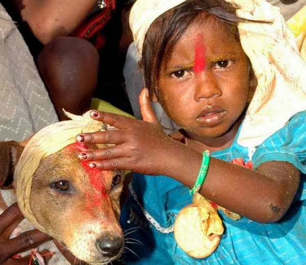 Weird Hindu Tradition - Child marriage with dog in India