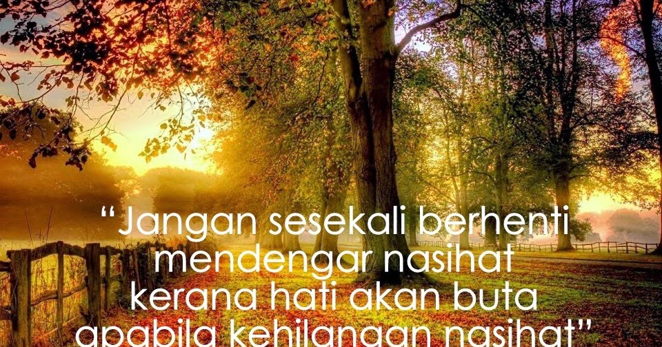 31 Kata Mutiara Perpisahan Sekolah Tk Kata Mutiara